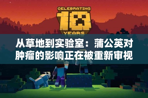 从草地到实验室:蒲公英对肿瘤的影响正在被重新审视 从草地到实验室:蒲公英对肿瘤的影响正在被重新审视