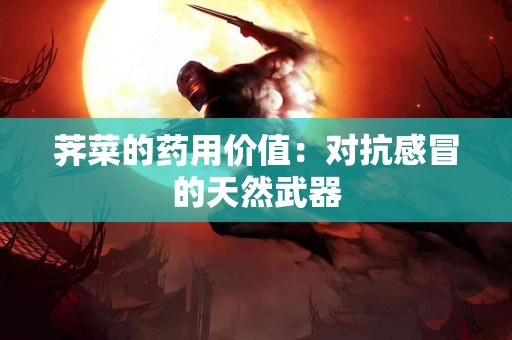 荠菜的药用价值：对抗感冒的天然武器