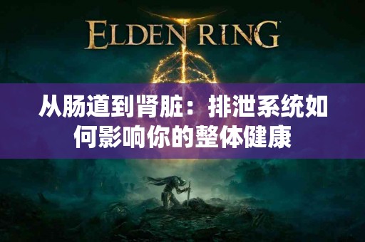 从肠道到肾脏：排泄系统如何影响你的整体健康