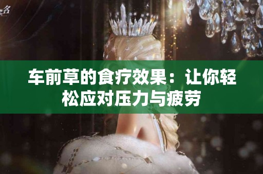 车前草的食疗效果：让你轻松应对压力与疲劳