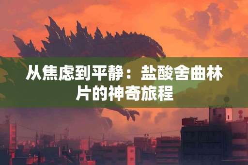 从焦虑到平静：盐酸舍曲林片的神奇旅程