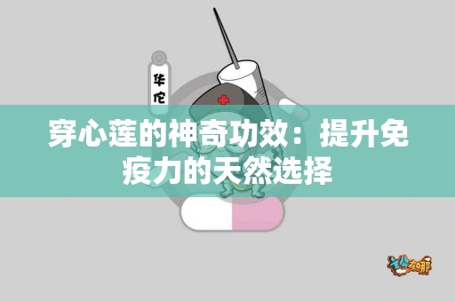 穿心莲的神奇功效：提升免疫力的天然选择