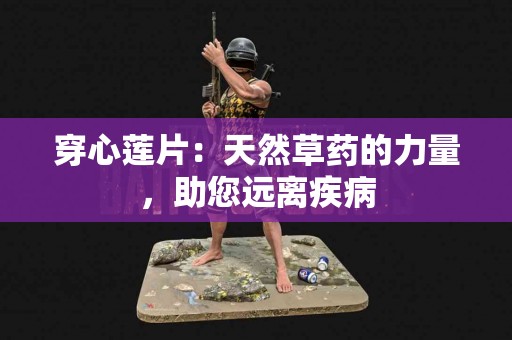 穿心莲片:天然草药的力量,助您远离疾病 穿心莲片:天然草药的力量,助您远离疾病