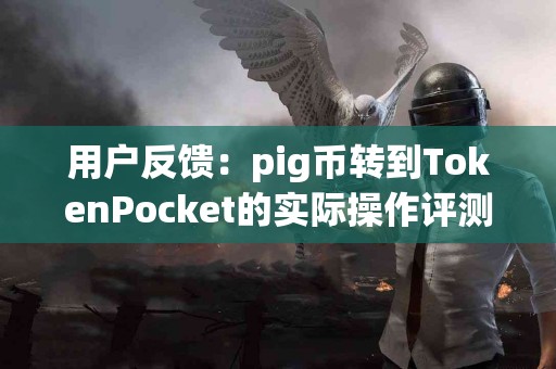用户反馈：pig币转到TokenPocket的实际操作评测