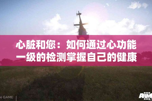 心脏和您：如何通过心功能一级的检测掌握自己的健康