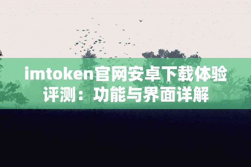 imtoken官网安卓下载体验评测：功能与界面详解