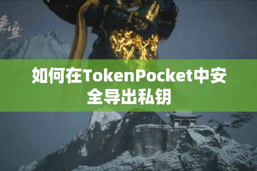 如何在TokenPocket中安全导出私钥