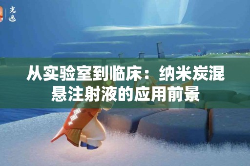 从实验室到临床：纳米炭混悬注射液的应用前景