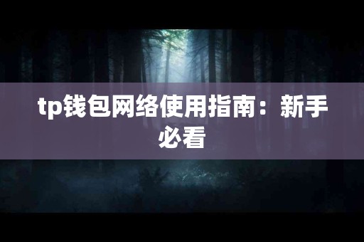 tp钱包网络使用指南：新手必看