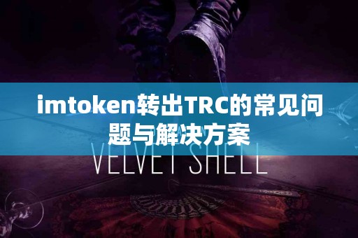 imtoken转出TRC的常见问题与解决方案