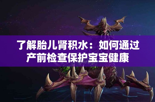 了解胎儿肾积水：如何通过产前检查保护宝宝健康