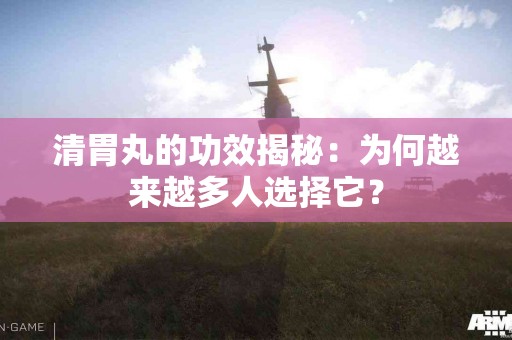清胃丸的功效揭秘：为何越来越多人选择它？