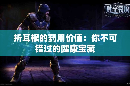 折耳根的药用价值：你不可错过的健康宝藏