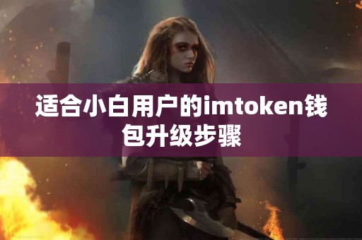适合小白用户的imtoken钱包升级步骤