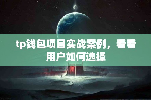 tp钱包项目实战案例，看看用户如何选择