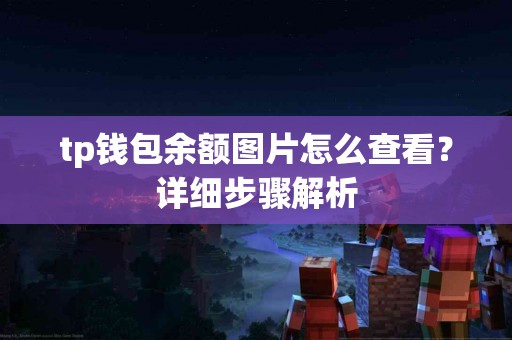 tp钱包余额图片怎么查看？详细步骤解析