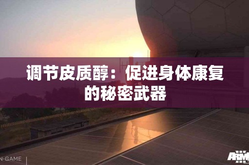 调节皮质醇：促进身体康复的秘密武器