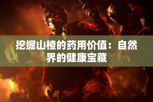 挖掘山楂的药用价值：自然界的健康宝藏