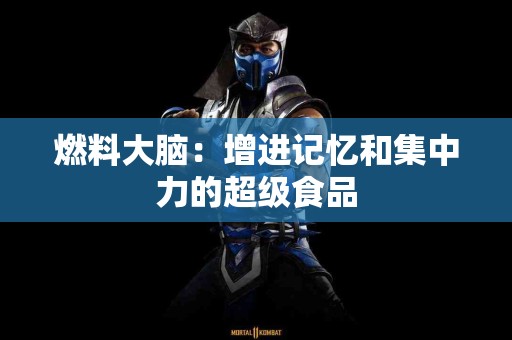 燃料大脑：增进记忆和集中力的超级食品