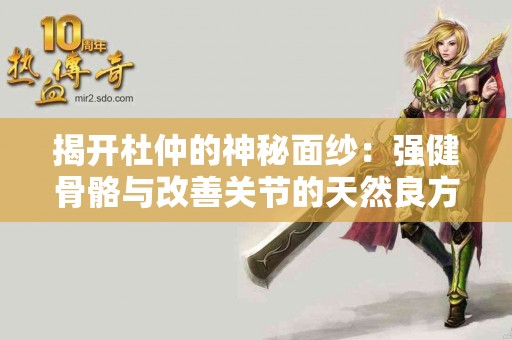 揭开杜仲的神秘面纱：强健骨骼与改善关节的天然良方