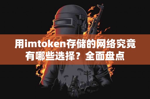 用imtoken存储的网络究竟有哪些选择？全面盘点