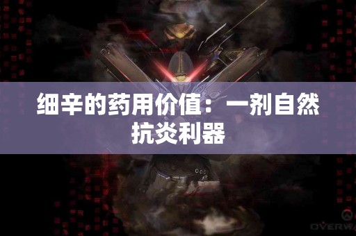 细辛的药用价值：一剂自然抗炎利器