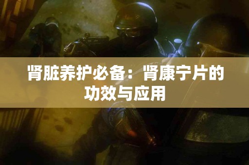 肾脏养护必备：肾康宁片的功效与应用