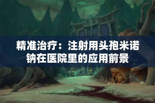 精准治疗:注射用头孢米诺钠在医院里的应用前景 精准治疗:注射用头孢米诺钠在医院里的应用前景