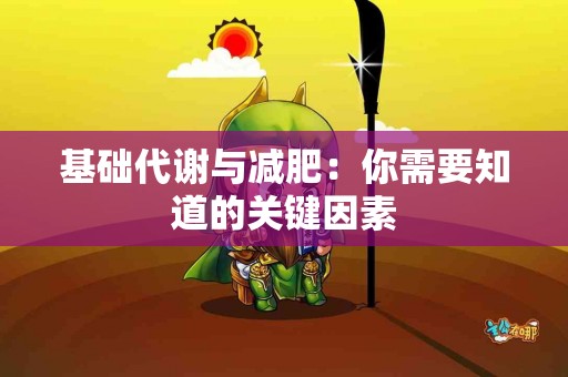 基础代谢与减肥：你需要知道的关键因素