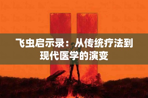 飞虫启示录：从传统疗法到现代医学的演变