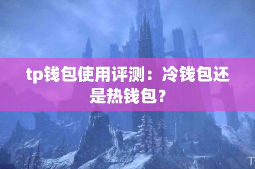 tp钱包使用评测：冷钱包还是热钱包？