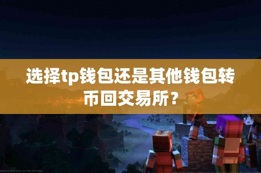 选择tp钱包还是其他钱包转币回交易所？