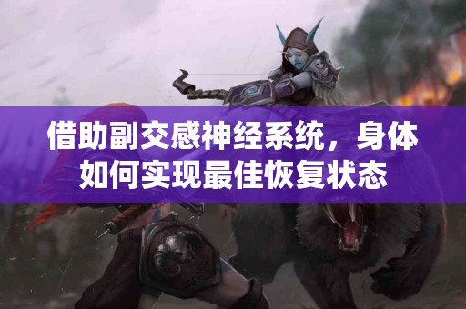 借助副交感神经系统，身体如何实现最佳恢复状态