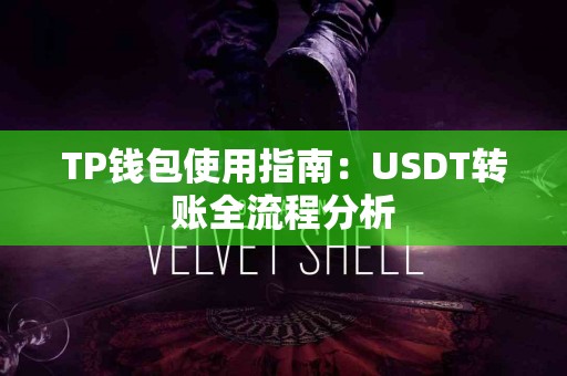 TP钱包使用指南：USDT转账全流程分析