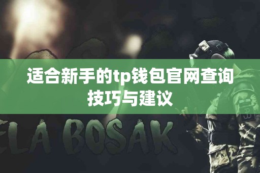 适合新手的tp钱包官网查询技巧与建议