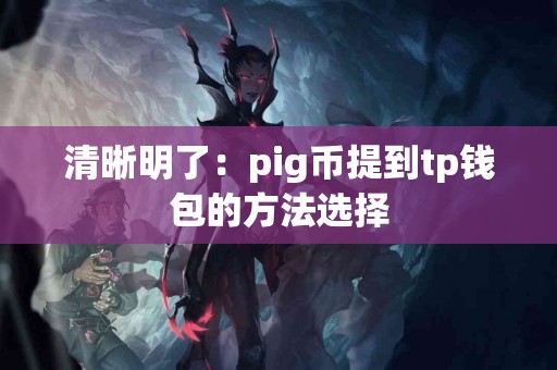 清晰明了：pig币提到tp钱包的方法选择