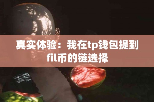 真实体验：我在tp钱包提到fil币的链选择