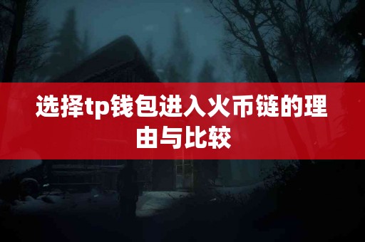 选择tp钱包进入火币链的理由与比较