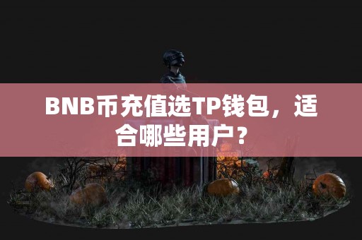BNB币充值选TP钱包，适合哪些用户？