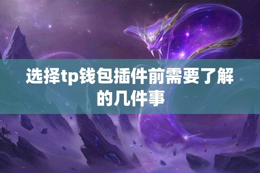 选择tp钱包插件前需要了解的几件事