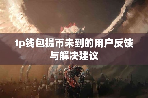 tp钱包提币未到的用户反馈与解决建议