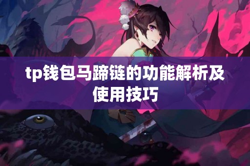 tp钱包马蹄链的功能解析及使用技巧