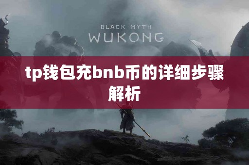 tp钱包充bnb币的详细步骤解析