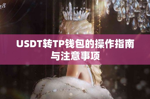 USDT转TP钱包的操作指南与注意事项
