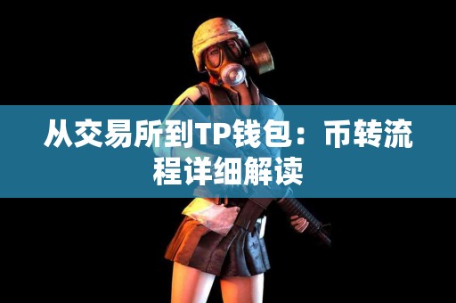 从交易所到TP钱包:币转流程详细解读 从交易所到TP钱包:币转流程详细解读