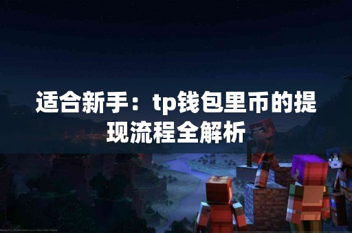适合新手：tp钱包里币的提现流程全解析