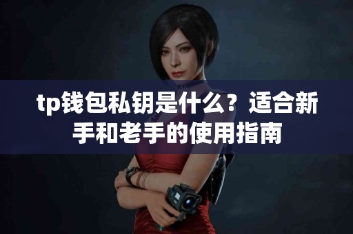 tp钱包私钥是什么？适合新手和老手的使用指南