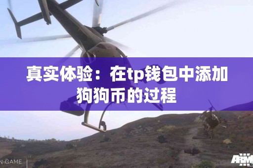 真实体验：在tp钱包中添加狗狗币的过程
