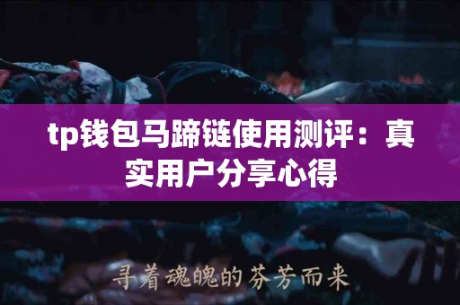 tp钱包马蹄链使用测评：真实用户分享心得