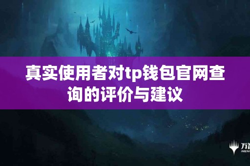 真实使用者对tp钱包官网查询的评价与建议